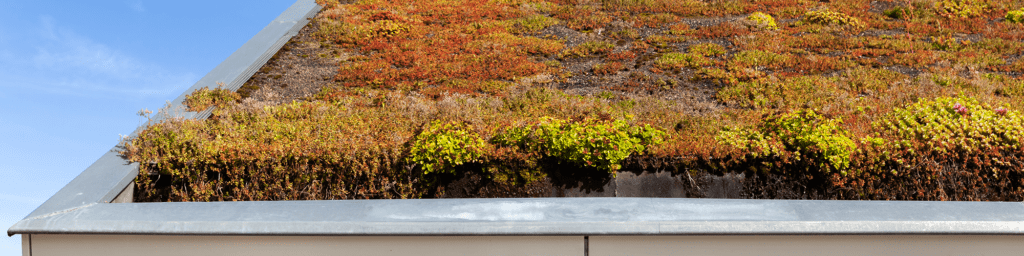 Ervaar de voordelen van een groen dak van Kooloos Zon & Huis.
